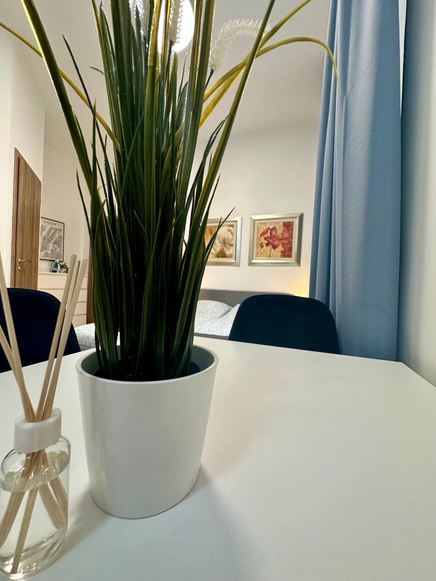 Cozy Centre Apartments Budapest Eksteriør bilde
